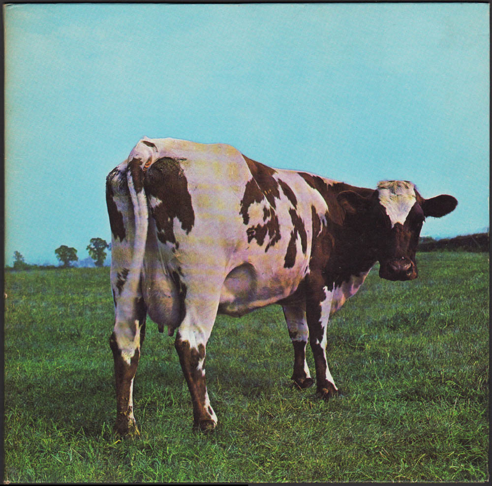 meaning behind atom heart mother