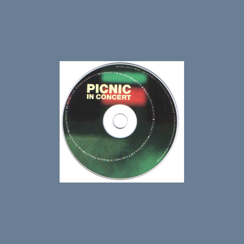 Picnic In Concert