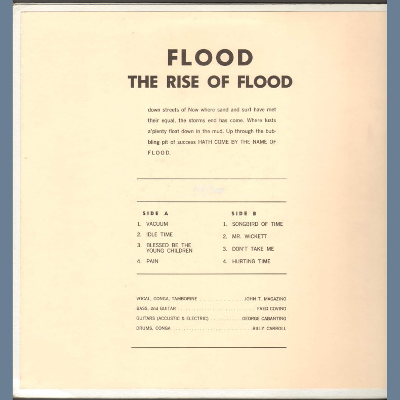 The Rise Of Flood - Limited Numbered Edition Vinyl Reissue