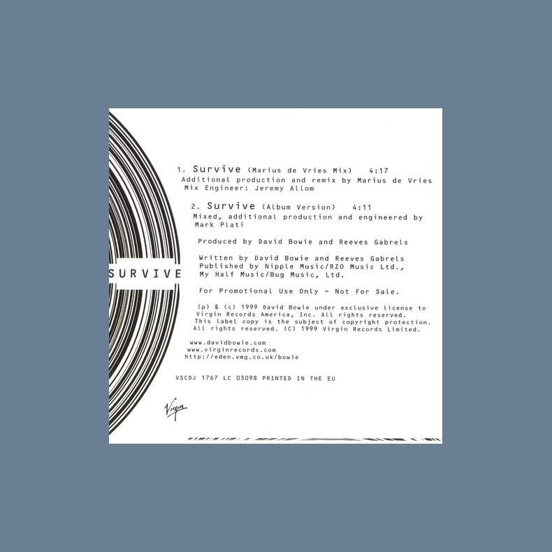 Survive - 2-track Promotional Issue CD