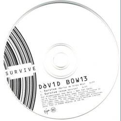 Survive - 2-track Promotional Issue CD