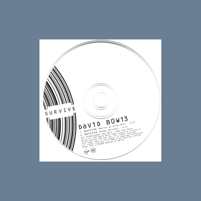 Survive - 2-track Promotional Issue CD