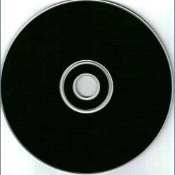 Still Becoming Apart