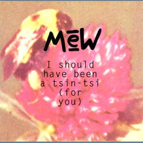 I should have been a Tsin-Tsi (for you)