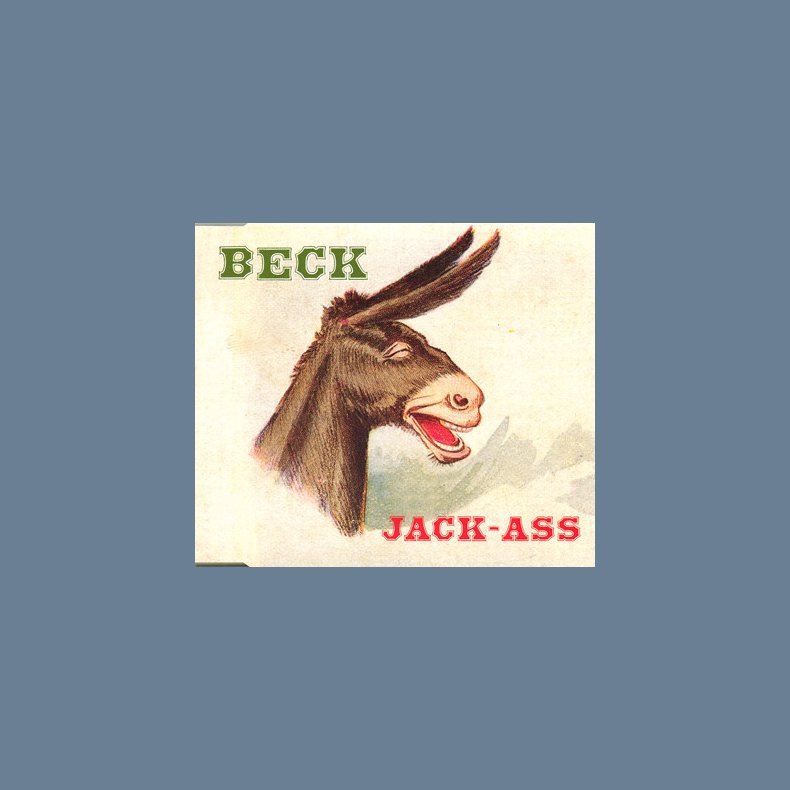 Jack Ass