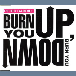 Burn You up Burn You Down