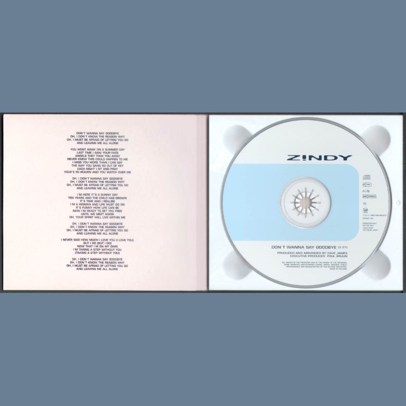 Don't Wanna Say Goodbye - 1-track Promotinal Issue, Autographed