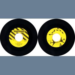 198 Seconds Of The Dils - Original US Issue