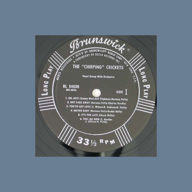 The Chirping Crickets