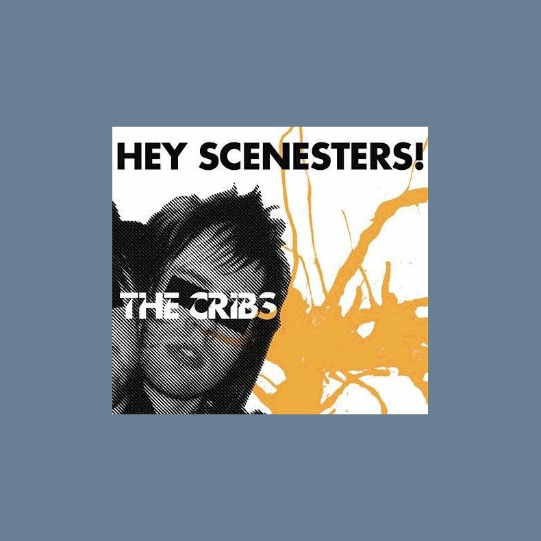 Hey Scenesters!