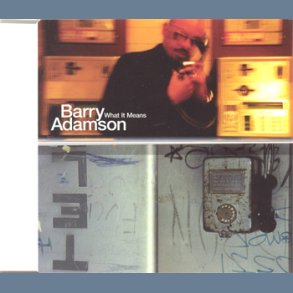 What It Means - UK 4-track CD Single