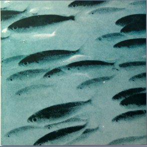 At Night b/w  From Here To And Now Otherwise