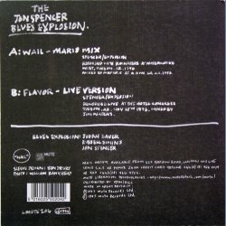 Wail (Mario Mix) bw. Flavour (Live)