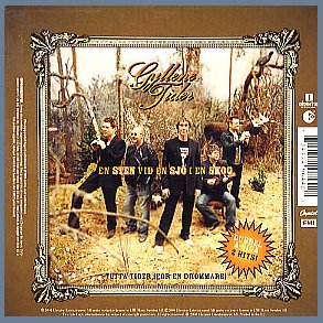 Tuffa Tider / En Sten Vid En Sjö I En Skog