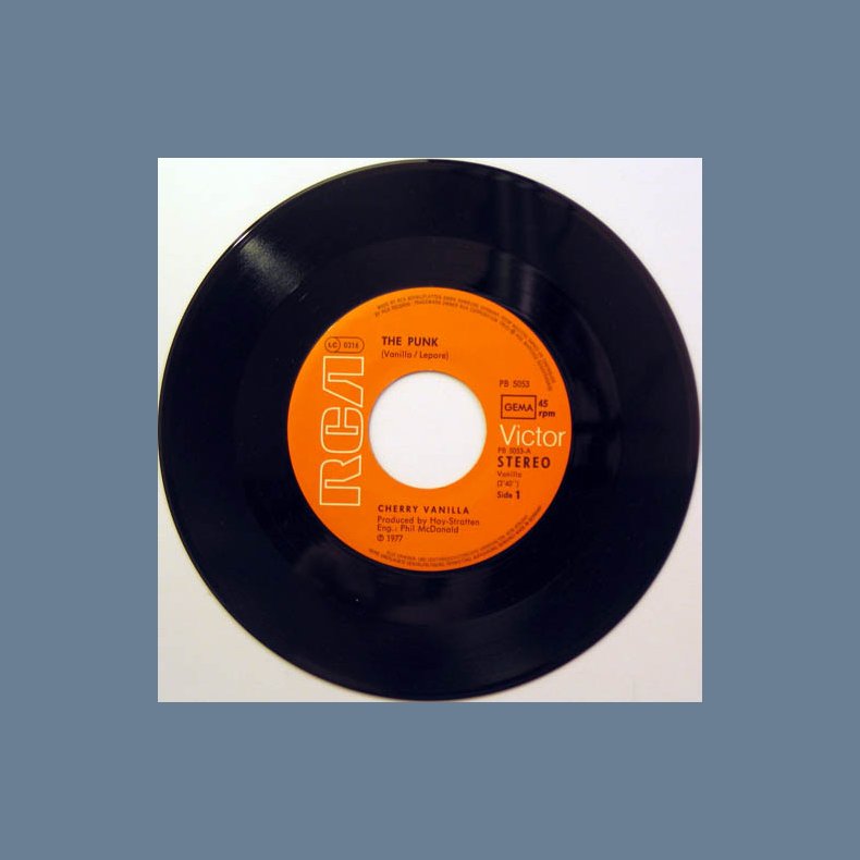 The Punk b/w Foxy Bitch