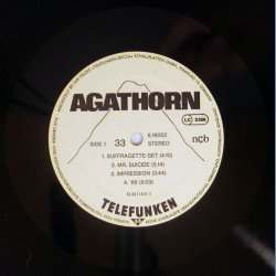 Agathorn