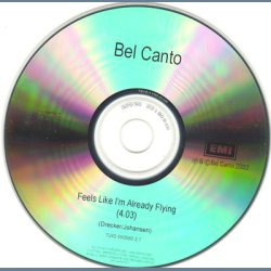 Feels Like I'm Already Flying