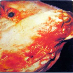 Why Not In Choir (Czemu nie w ch&oacute;rze?)