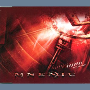 Mechanical Spin Phenomena