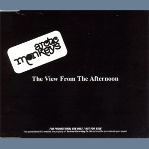 The View From The Afternoon