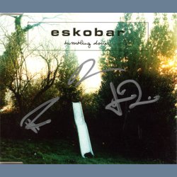 Tumbling Down - Autographed