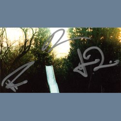 Tumbling Down - Autographed