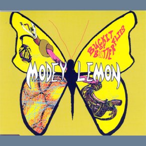 Bucket Of Butterflies