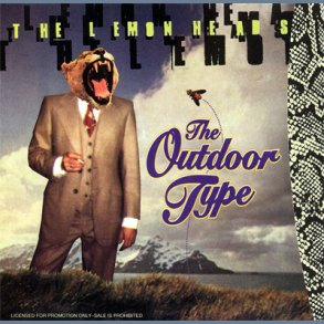 The Outdoor Type