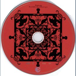 Beautiful Day Without You