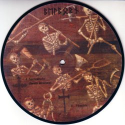 Seelenruhe b/w Phoenix