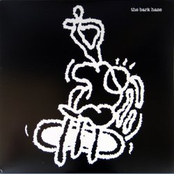 LP - 2007 USImportant label limited edition 2-track Vinyl-Only LP 