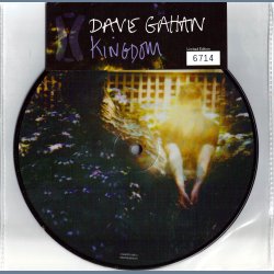 Kingdom (Picture Disc 7")