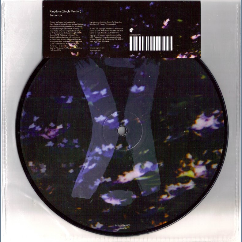 Kingdom (Picture Disc 7")