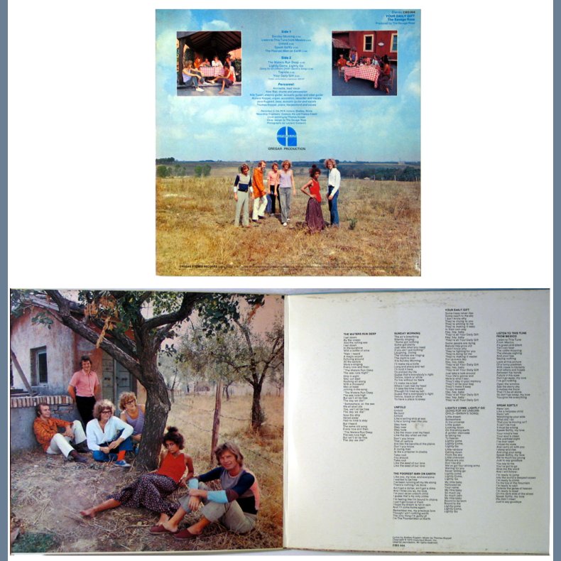 Your Daily Gift - Original Danish Vinyl Issue