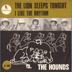 The Lion Sleeps Tonight b/w I Like The Rhythm