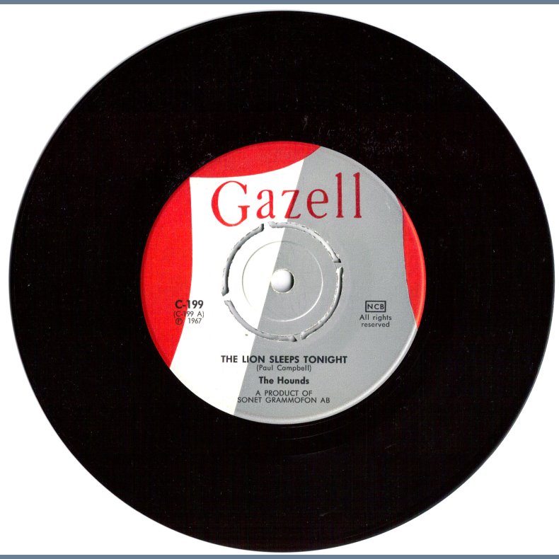 The Lion Sleeps Tonight b/w I Like The Rhythm