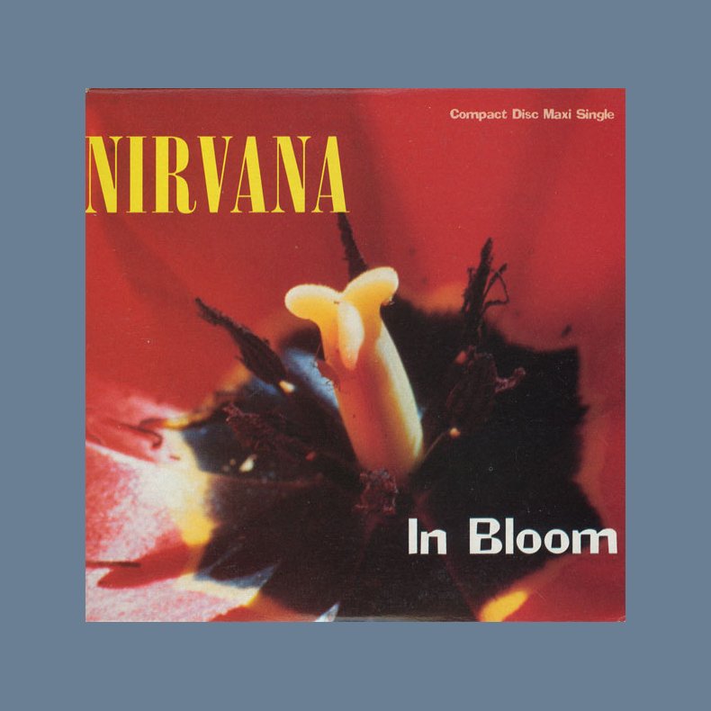 In Bloom - 1993 Australian 3-track CD Single