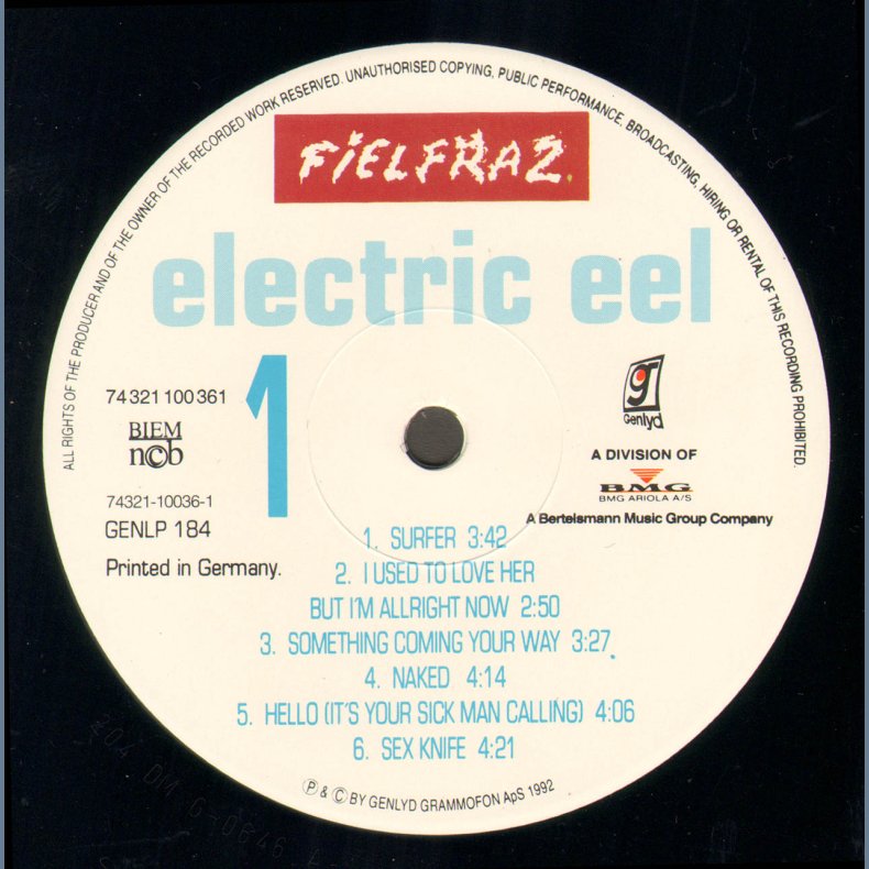 Electric eel