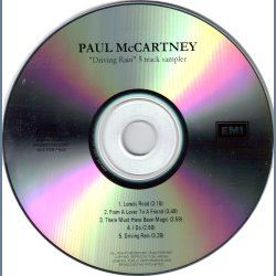 Driving Rain 5 track sampler