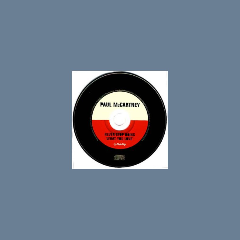 Never Stop Doing What You Love 