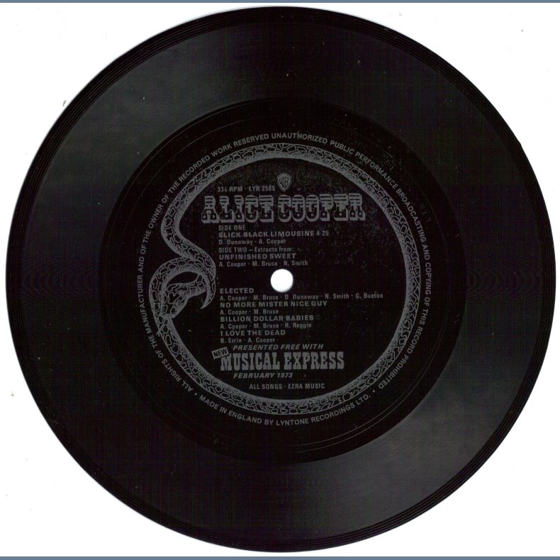 Slick Black Limousine