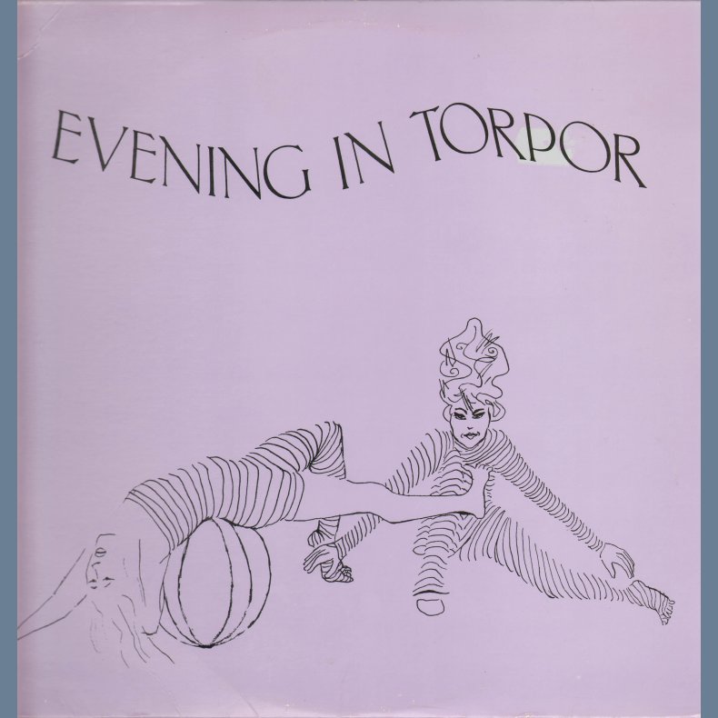 Evening in Torpor