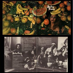 Juicy Lucy - Original 1969 Dutch Fontana label 9-track LP