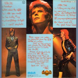 Pin Ups - 1983 Spanish RCA Lineatres label 12-track LP - Green Labels