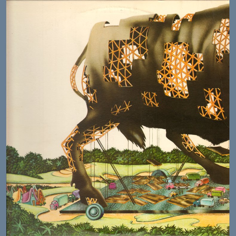 Bull Angus - Original US Issue