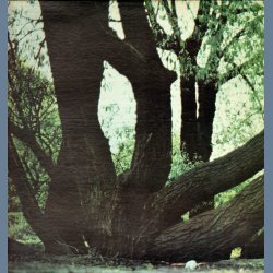 Fat Mattress - Original US Issue