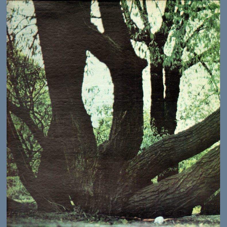 Fat Mattress - Original US Issue