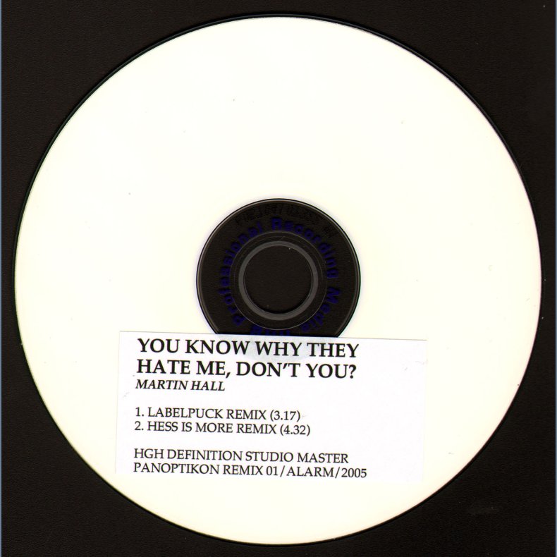 You Know Why They Hate Me, Don't You - 2005 Danish Panoptikon &amp; A:larm 