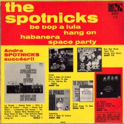 The Spotnicks
