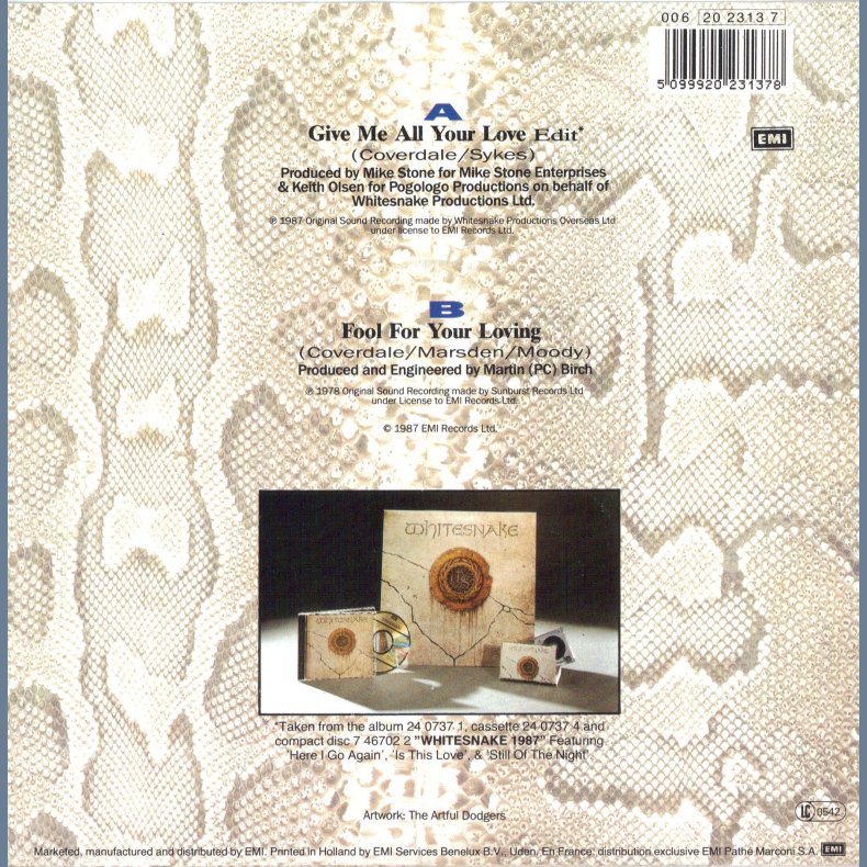 Give Me All Your Love (Edit) b/w Fool For Your Loving